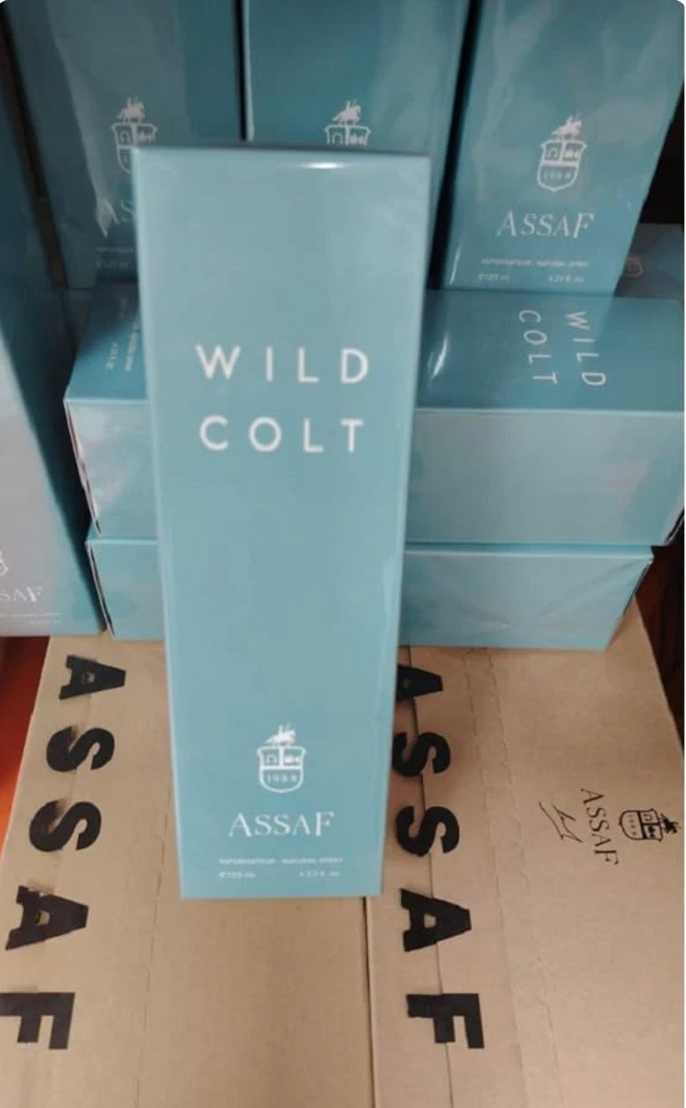 Assaf Wild Cold + Gris Erik
